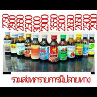 คณะ[ᴼ۷ᴱᴿ҂]