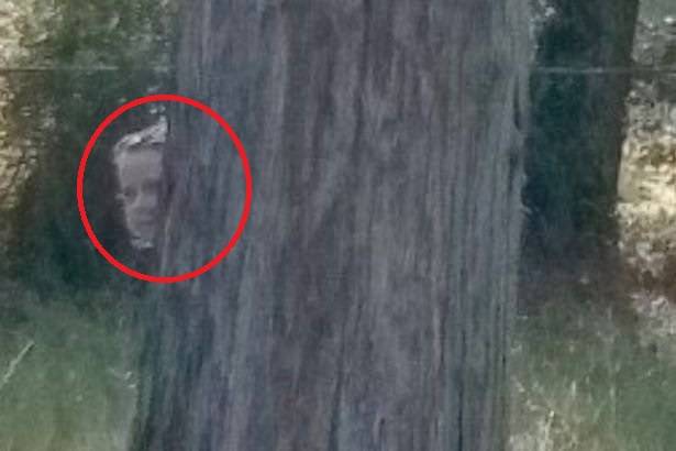 Hasil gambar untuk penampakan  Martha Chapel Cemetery