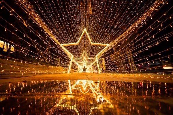 2023全台聖誕活動懶人包！台北101點燈、奇美博物館聖誕市集，邂逅極致的冬季浪漫！