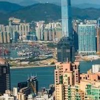 袋鼠團團go
