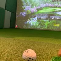 PRO室內高爾夫球友交流⛳️彰化 台中 中部高爾夫