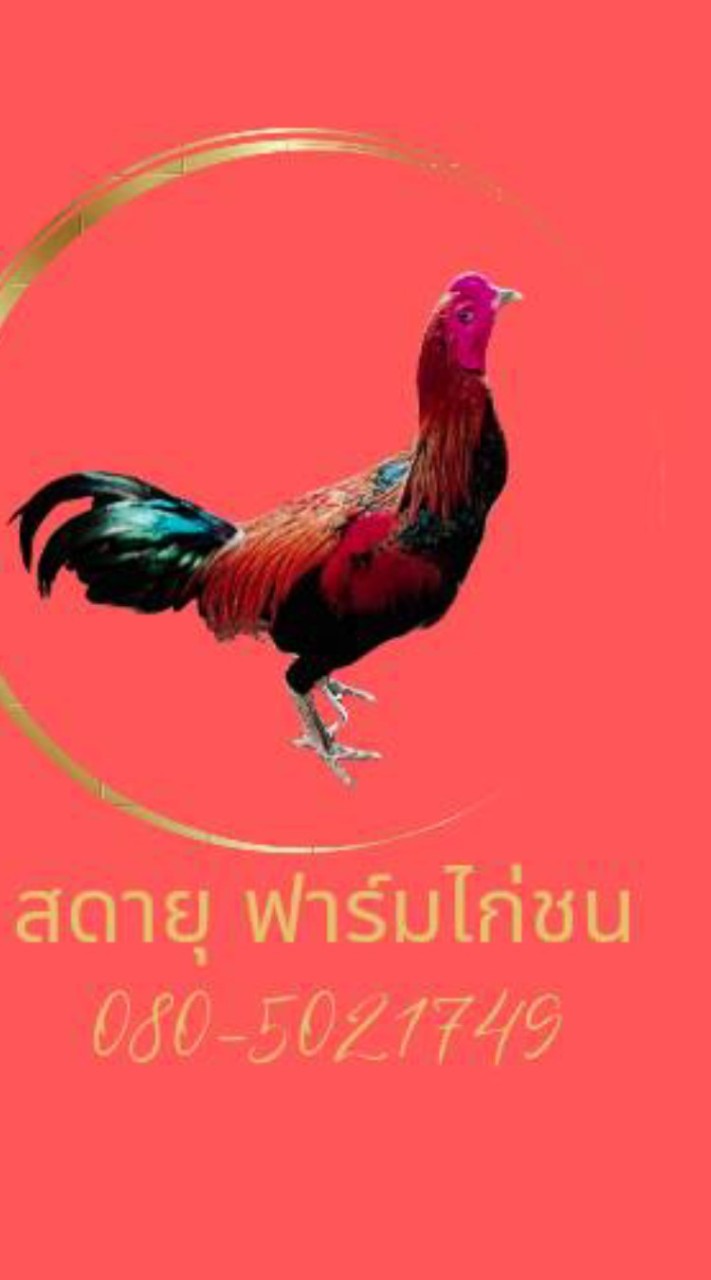 สดายุฟาร์มไก่ชน
