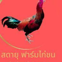 สดายุฟาร์มไก่ชน