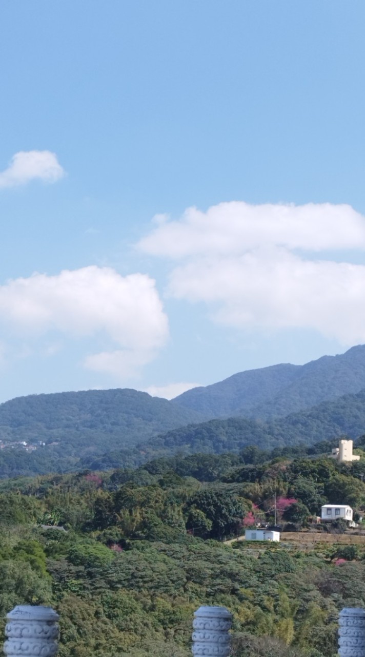 發洩情緒