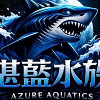 湛藍競標強強滾