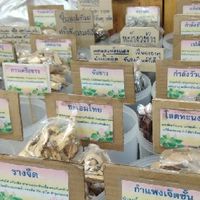 สมุนไพรดูแลสุขภาพ400รายการ