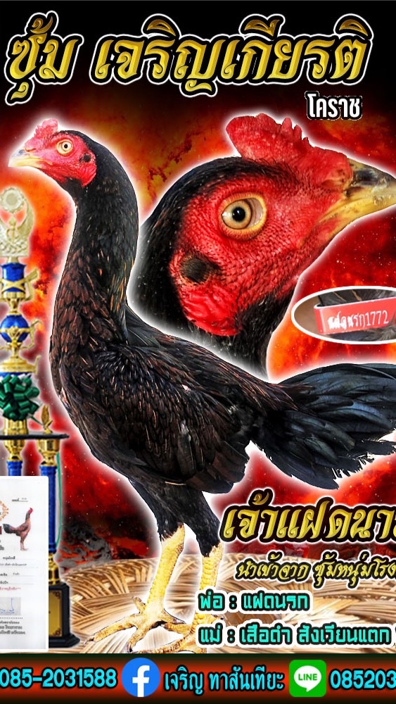 ซุ้ม เจริญเกียรติ โคราช