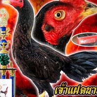 ซุ้ม เจริญเกียรติ โคราช