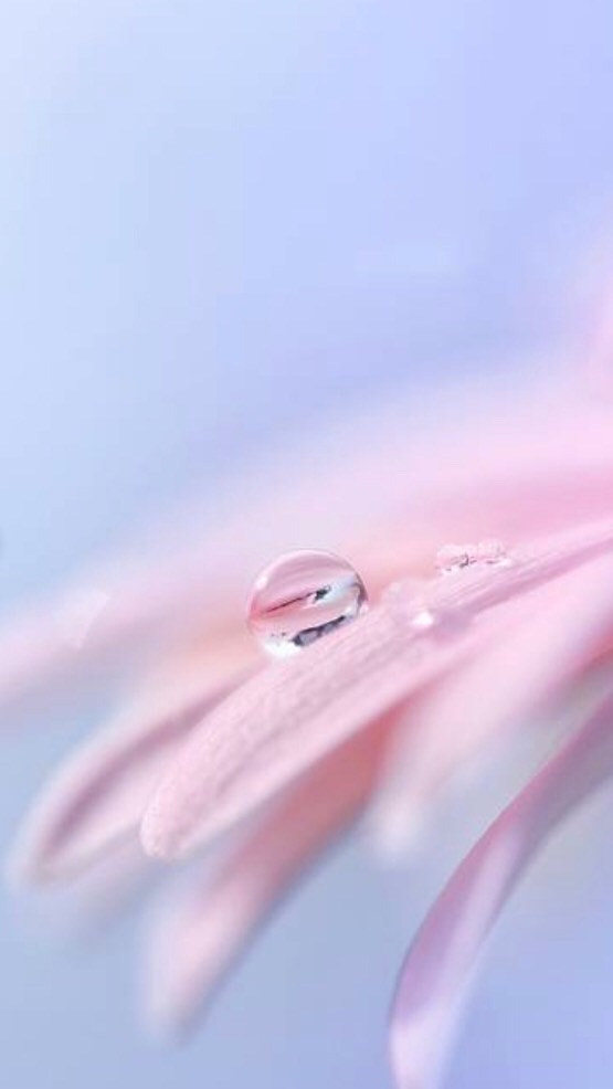 🌸初代 ひっそり隠れ家