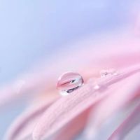 🌸初代 ひっそり隠れ家