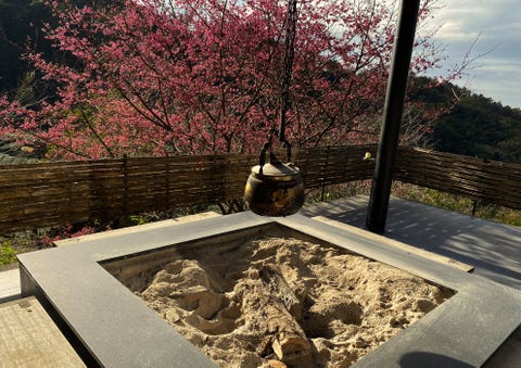 阿里山10間絕美住宿推薦！「歐洲莊園風、日式榻榻米、茶園圍繞」不用跋山涉水也能看日出雲海