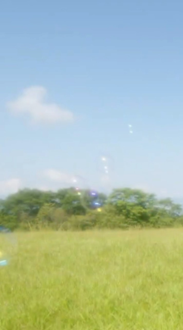 きてきて
