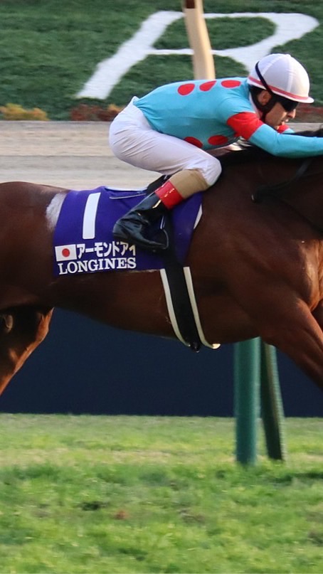 競馬コミュニティ「遊馬」