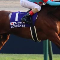 競馬コミュニティ「遊馬」