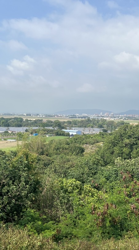 台南市東區大同里公告