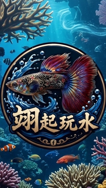 翊起玩水💦/養孔雀魚水族周邊分享