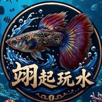 翊起玩水💦/養孔雀魚水族周邊分享