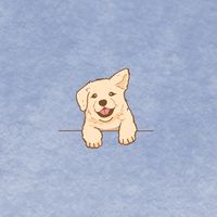 金金韓國代購