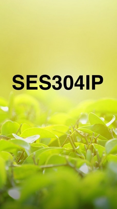 กลุ่ม safety envi security 304IP