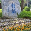 台科大115新生社群