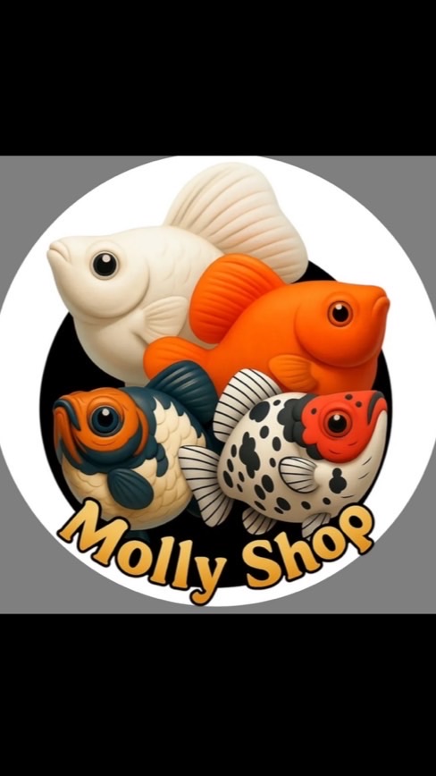 Molly Shop99