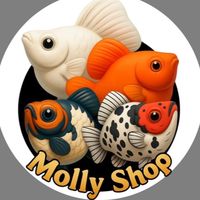 Molly Shop99