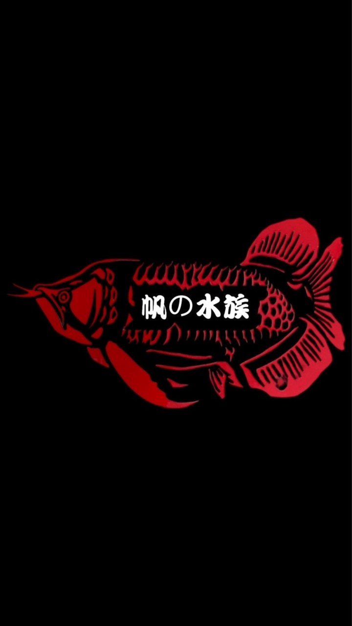 帆の水族～龍虎魟異型各種魚類～交流分享