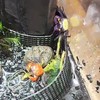 カニ・エビ・(ワタリガニ・ノコギリガザミ)日淡愛好会！飼育・採取・釣り・なんでもオッケー！【雑談あり