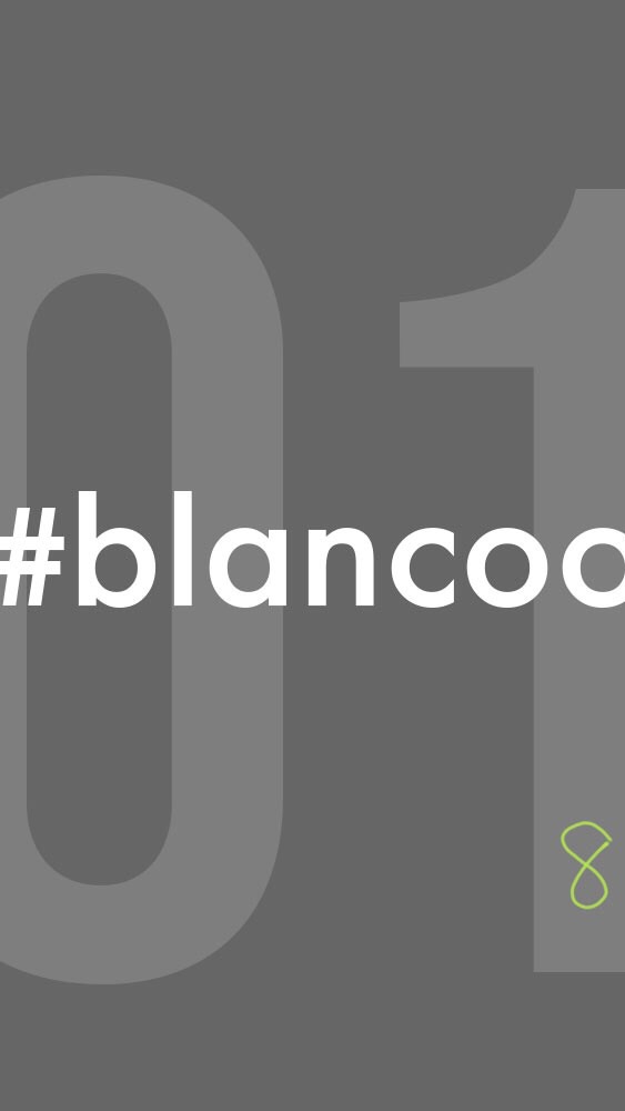 blancoo  house OpenChat