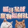 喵汪星球寵物福利社🐈 寵物用品、貓狗飼料、貓狗罐頭、寵物保健品批發