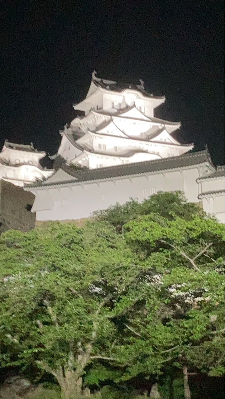 🌪️風林火山⛰️山の如く🏔️動かず🌋