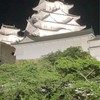 🌪️風林火山⛰️山の如く🏔️動かず🌋