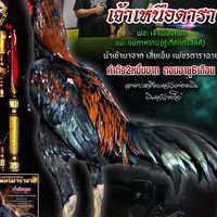 🏆รุจิเรศ ฟาร์ม ลำพูน 🏆