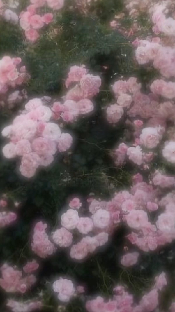 編集依頼工房🎀☘️*゜