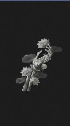 ด้อมฟังเพลงต่างชาติ/แชร์