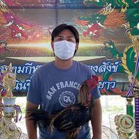 🐲ซุ้มส.ตำแหลก🐲