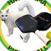 早島ピックルボール