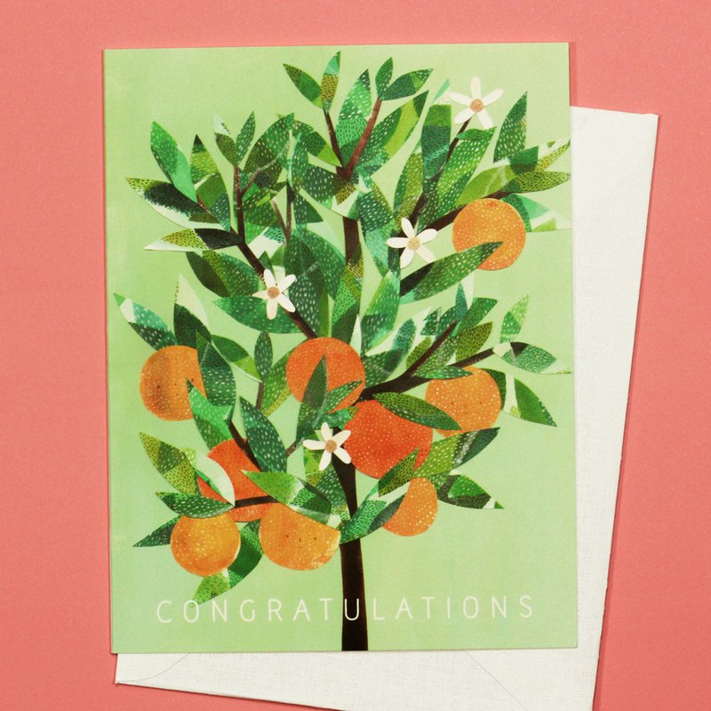 祝賀橘子樹 在空白卡內附帶信封