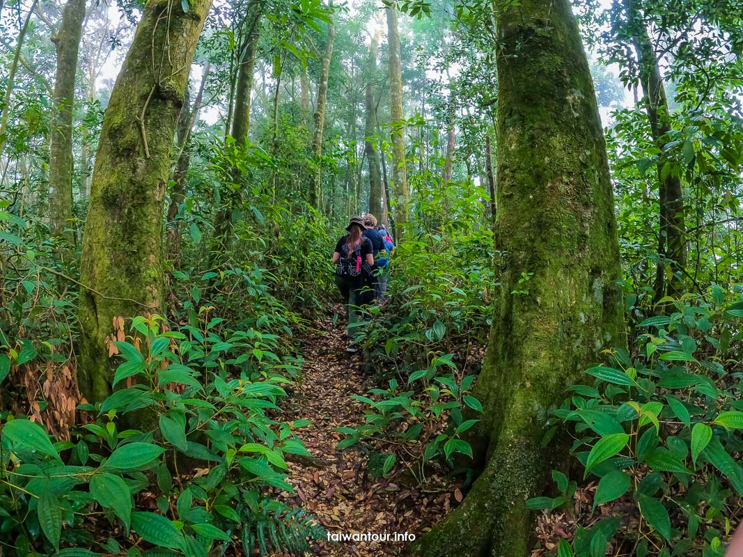 【南投巴庫拉斯二日遊】被遺忘的部落.弦月瀑布.雙龍林道