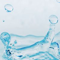 水之尊水機租賃服務中心