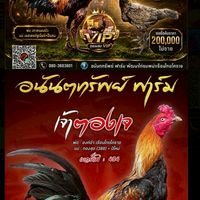 อนันตทรัพย์ ฟาร์ม พัฒนาไก่ชนพม่าเรือนไทยโคราช