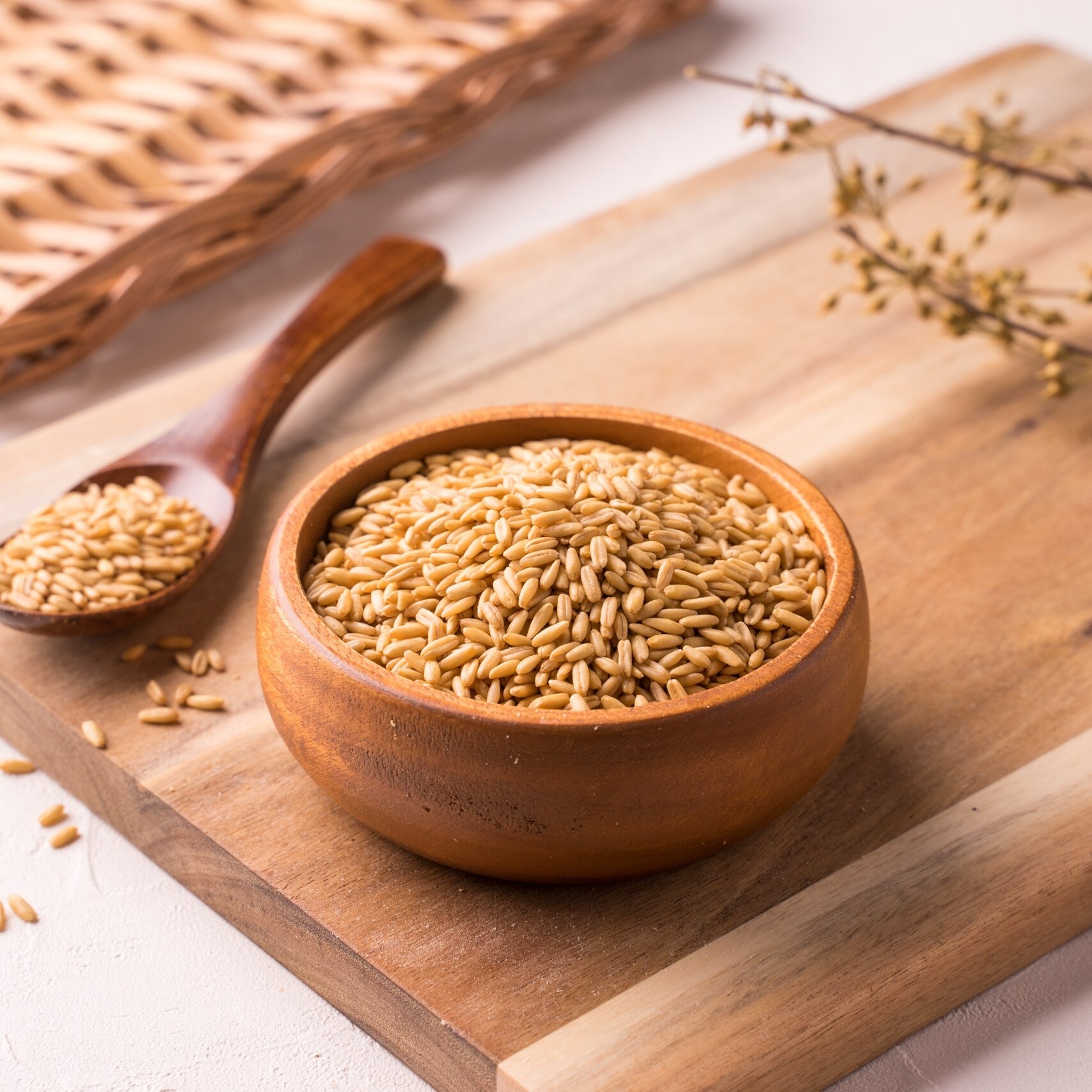 燕麥粒(Oat groats) 600g 燕麥仁 煮食燕麥粥 口感Q韌 [大島糧品]