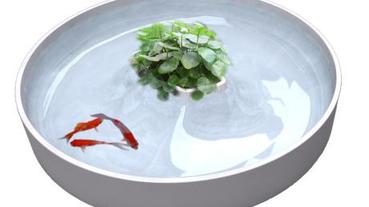 驚！花器中赫見沉沒孤島？！