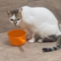 喵小孩の天地ㄧ起分享