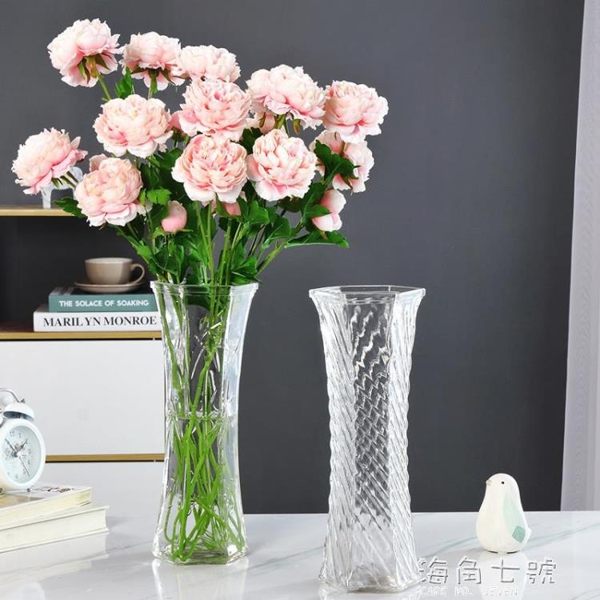 現代簡約玻璃花瓶透明大號富貴竹百合水培鮮花插花裝飾擺件六角瓶 海角七號