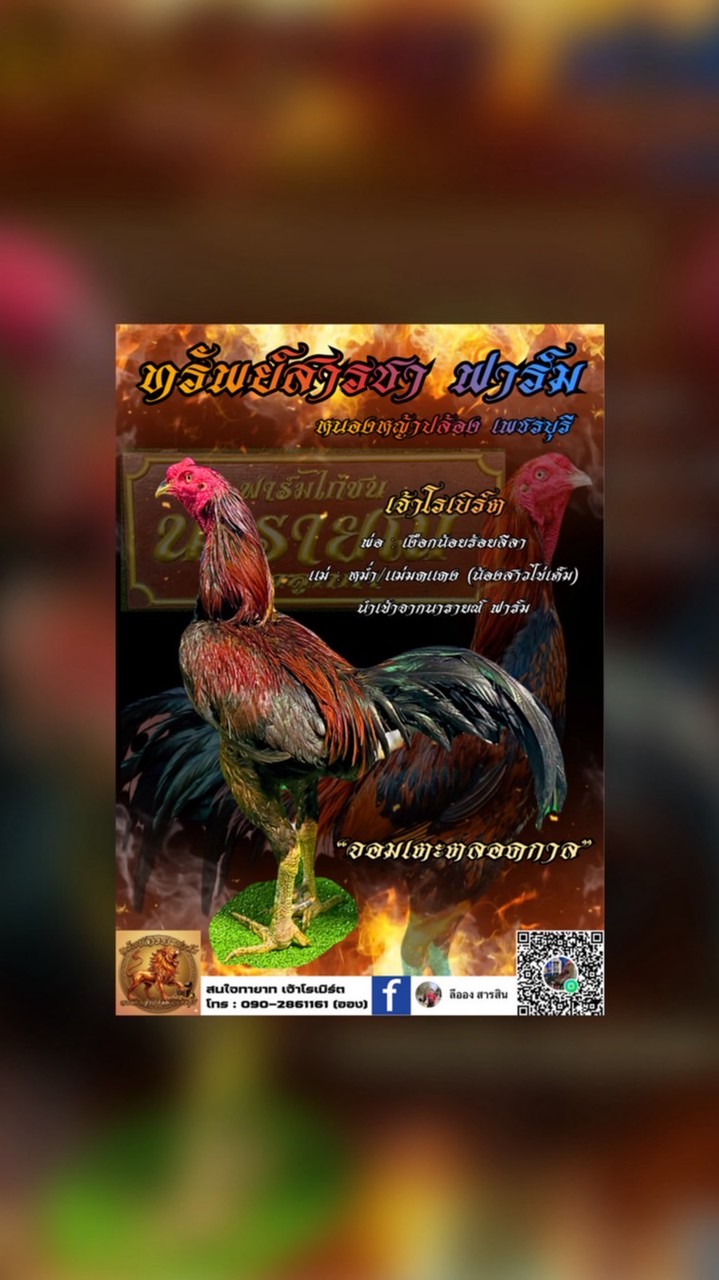 ทรัพย์สารชา เหล่าพม่าแข้งหน้าล่าฝัน
