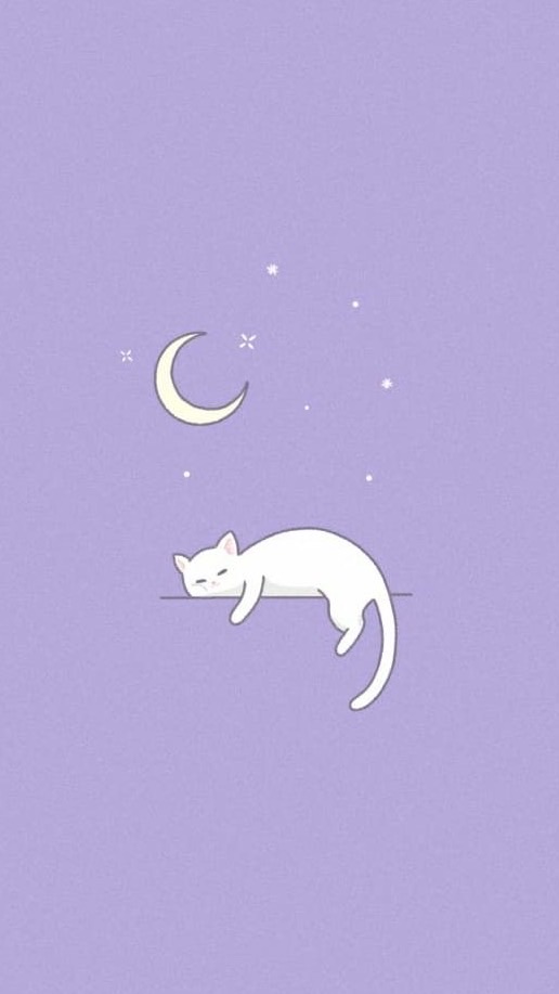 眠貓の手作小窩