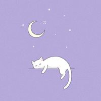 眠貓の手作小窩