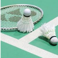 Badminton ย่านฝั่งธน​
