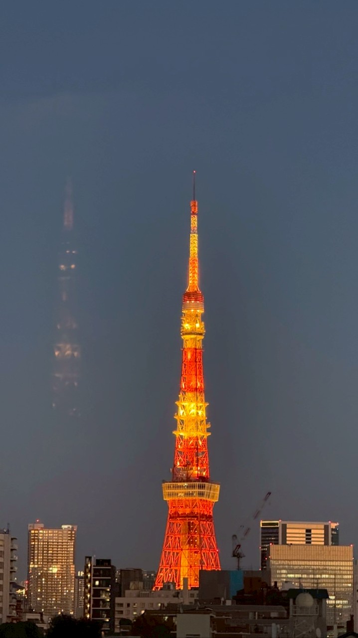 療癒的魔法｜日本代購